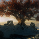 Illustration for article titled The Secret To Making Sense Of Last Nights emGame Of Thrones/em Finale